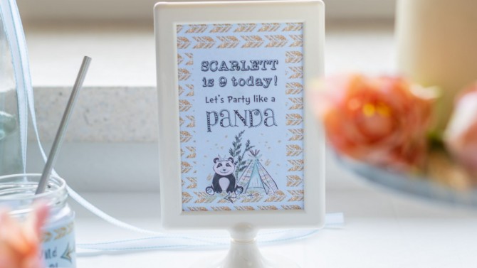 Image of Personalised Paper Party Decoration Kit - Printed