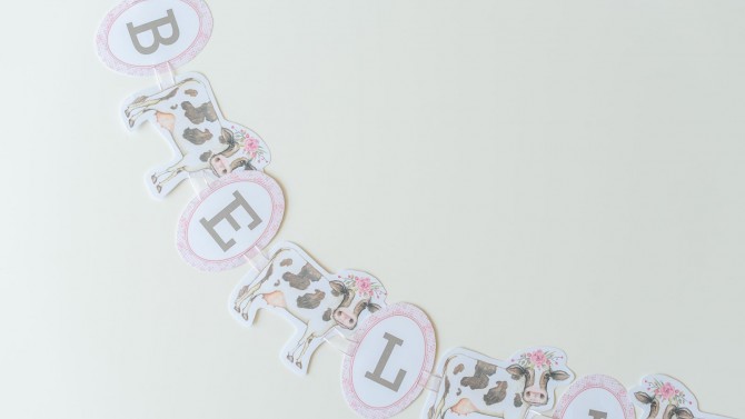 Image of Personalised Paper Party Decoration Kit - Online