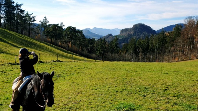 Image of Ausritte Für Kinder Und Erwachsene