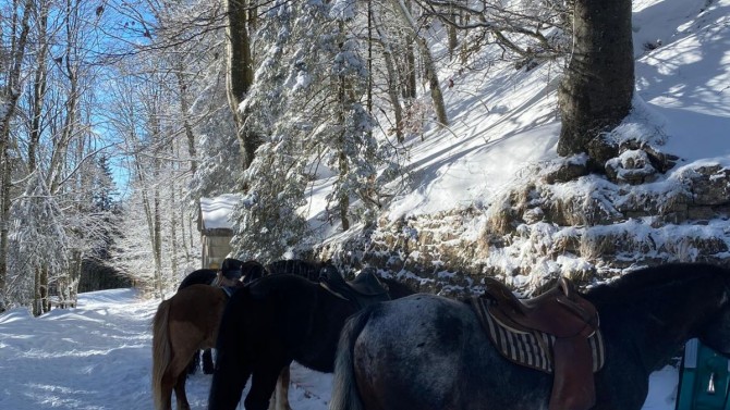 Image of Ausritte Für Kinder Und Erwachsene